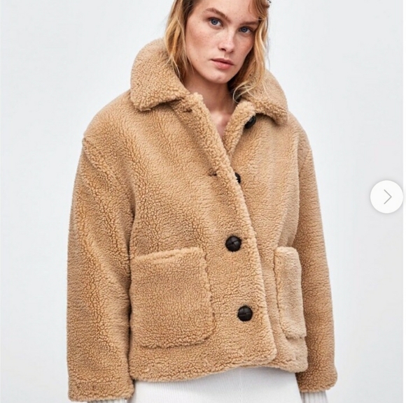 teddy bear coat zara